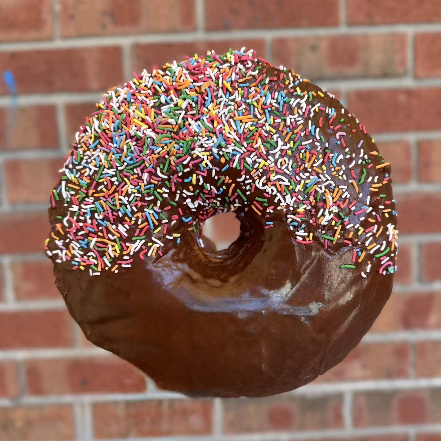 A giant chocolate-glazed donut topped with rainbow sprinkles held up against a red brick wall at Lobethal Bakery.