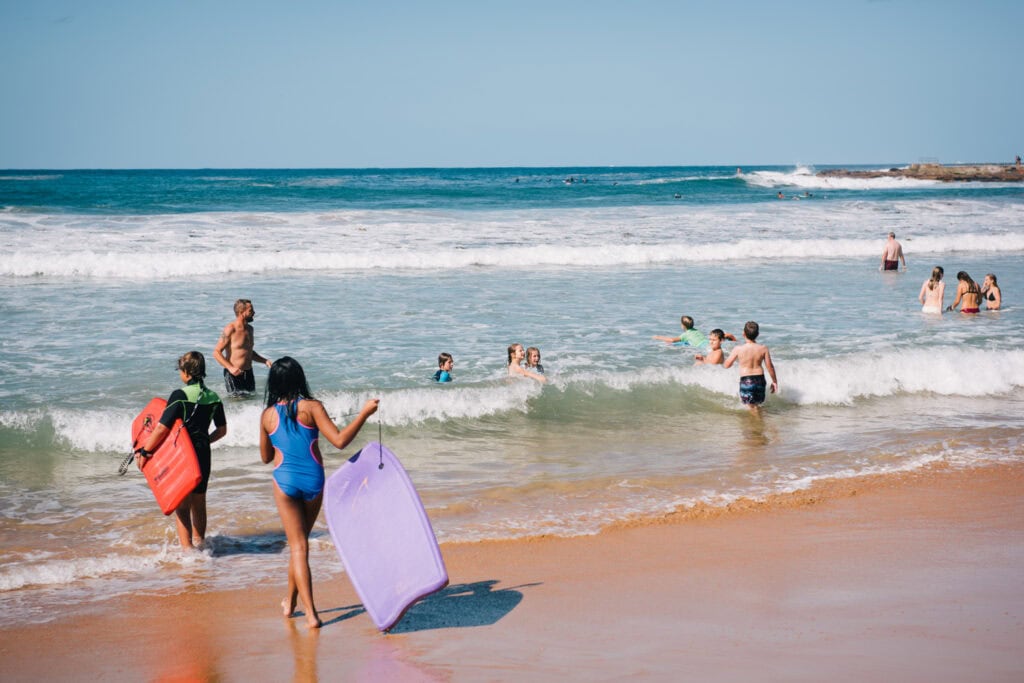 Dee Why Suburb Profile 