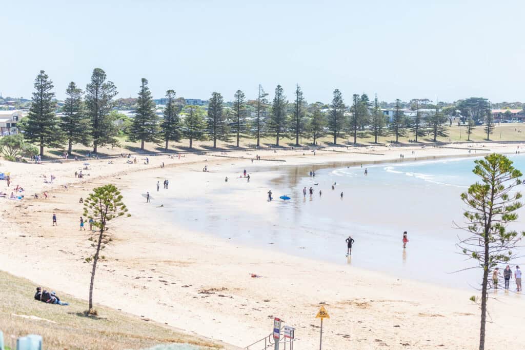 Torquay Suburb Profile