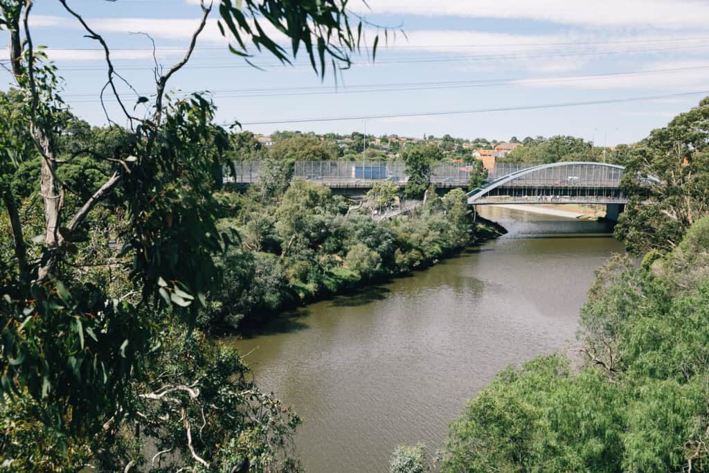 Toorak Suburb Profile