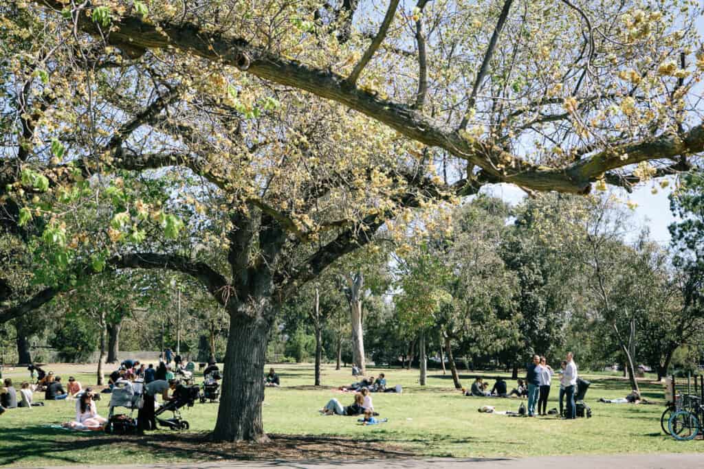 St Kilda East Suburb Profile