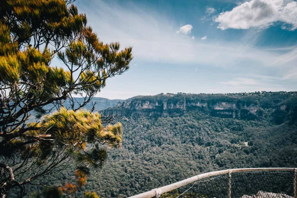 Leura Suburb Profile