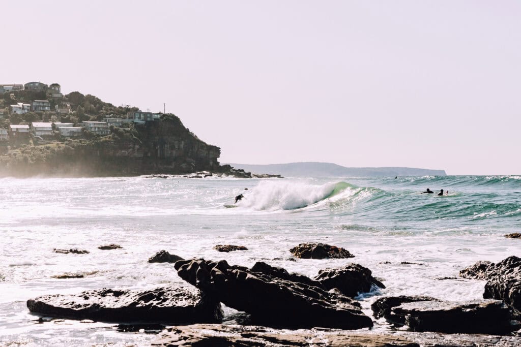 Whale Beach Suburb Profile  