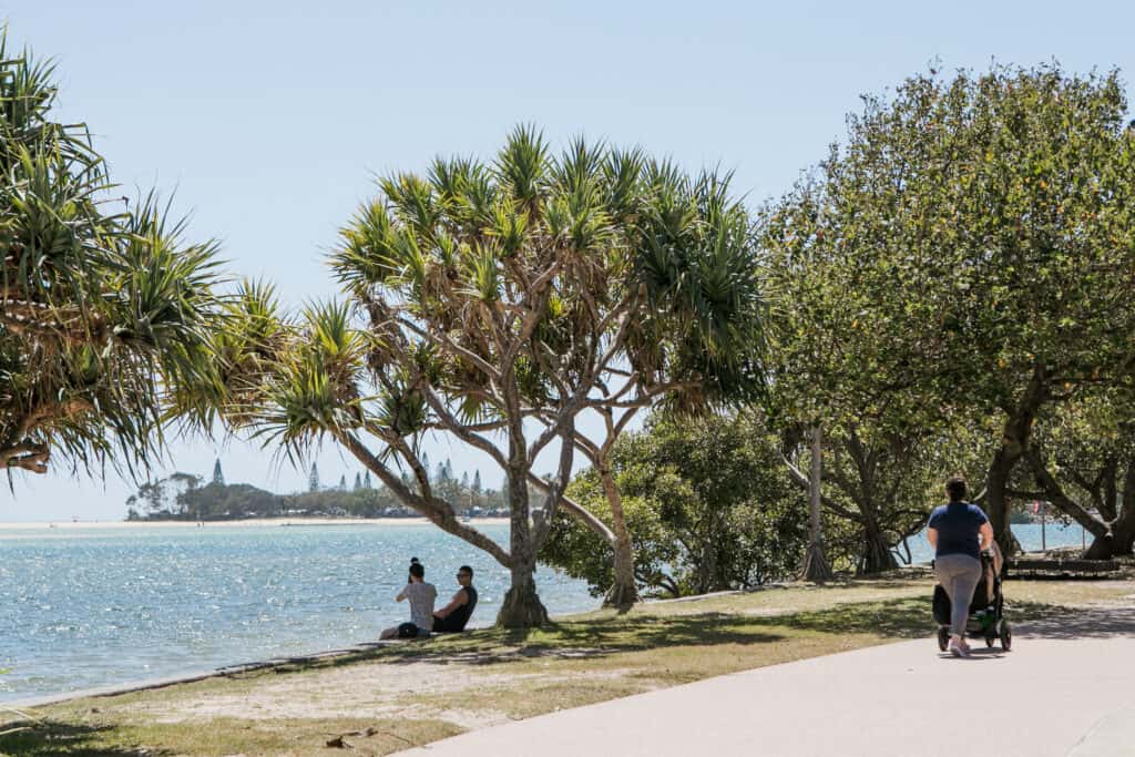 Maroochydore Suburb Profile 