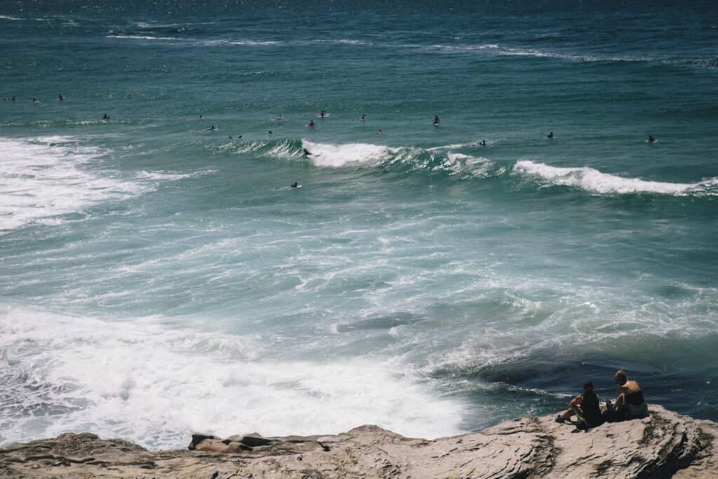 Bronte Suburb Profile