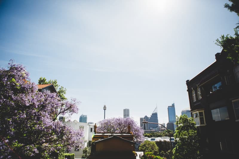 Potts Point Suburb Profile