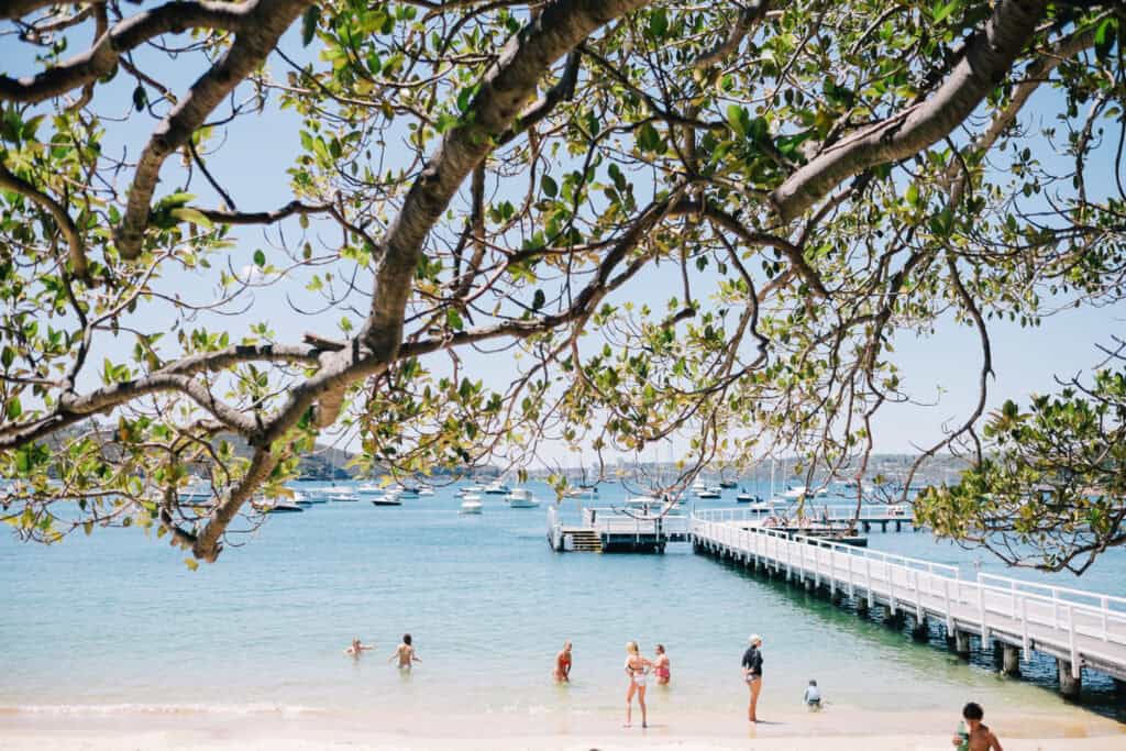 The branches of a tree in the foreground of an image of children and adults playing in the shallows at Balmoral Beach.
