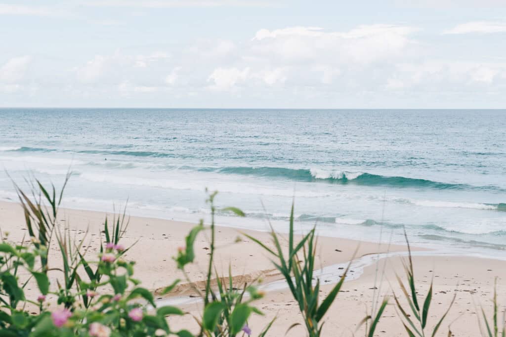 Stanwell Park & Scarborough Suburb Profile