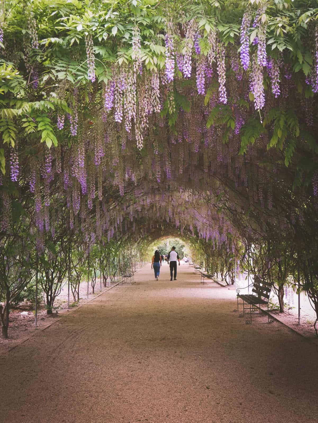 Adelaide Botanic Garden (Image Credit: Liam Pearson via South Australian Tourism Commission)