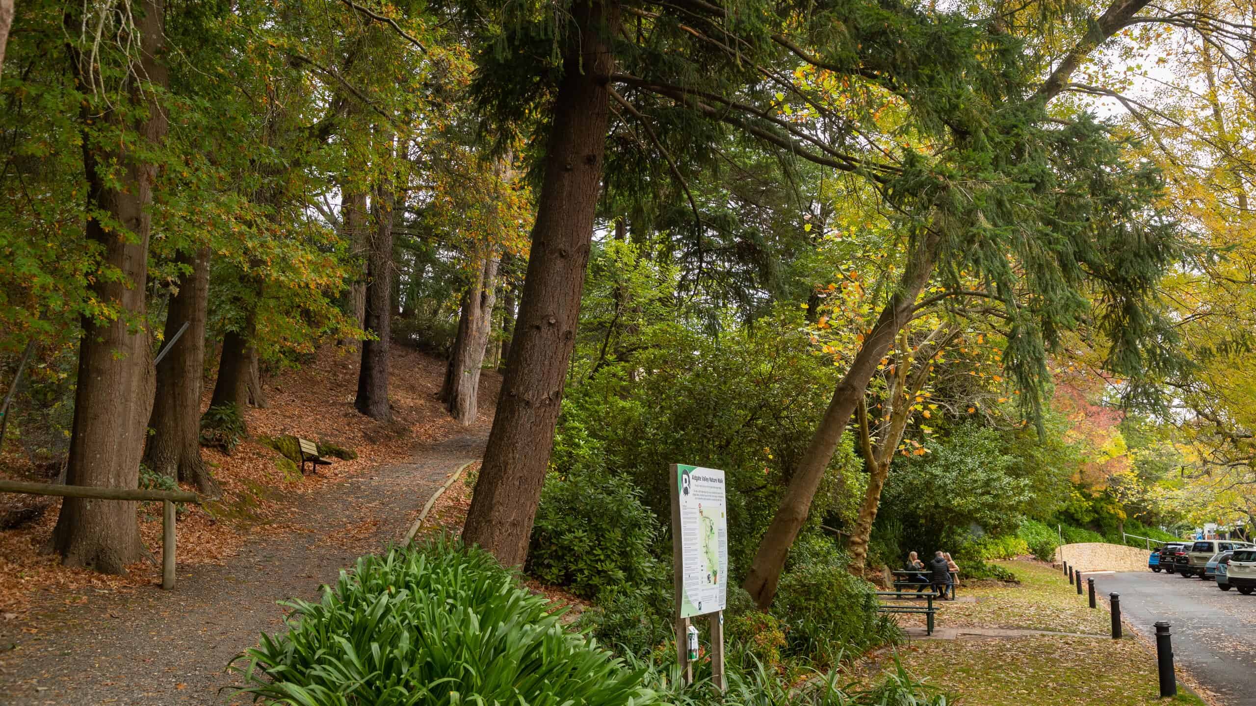 Aldgate Valley Nature Walk