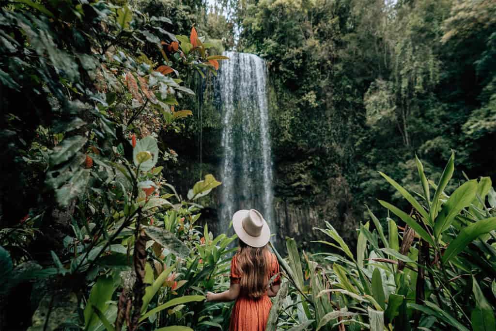 Atherton Tablelands (Image credit: Tourism Tropical North Queensland)