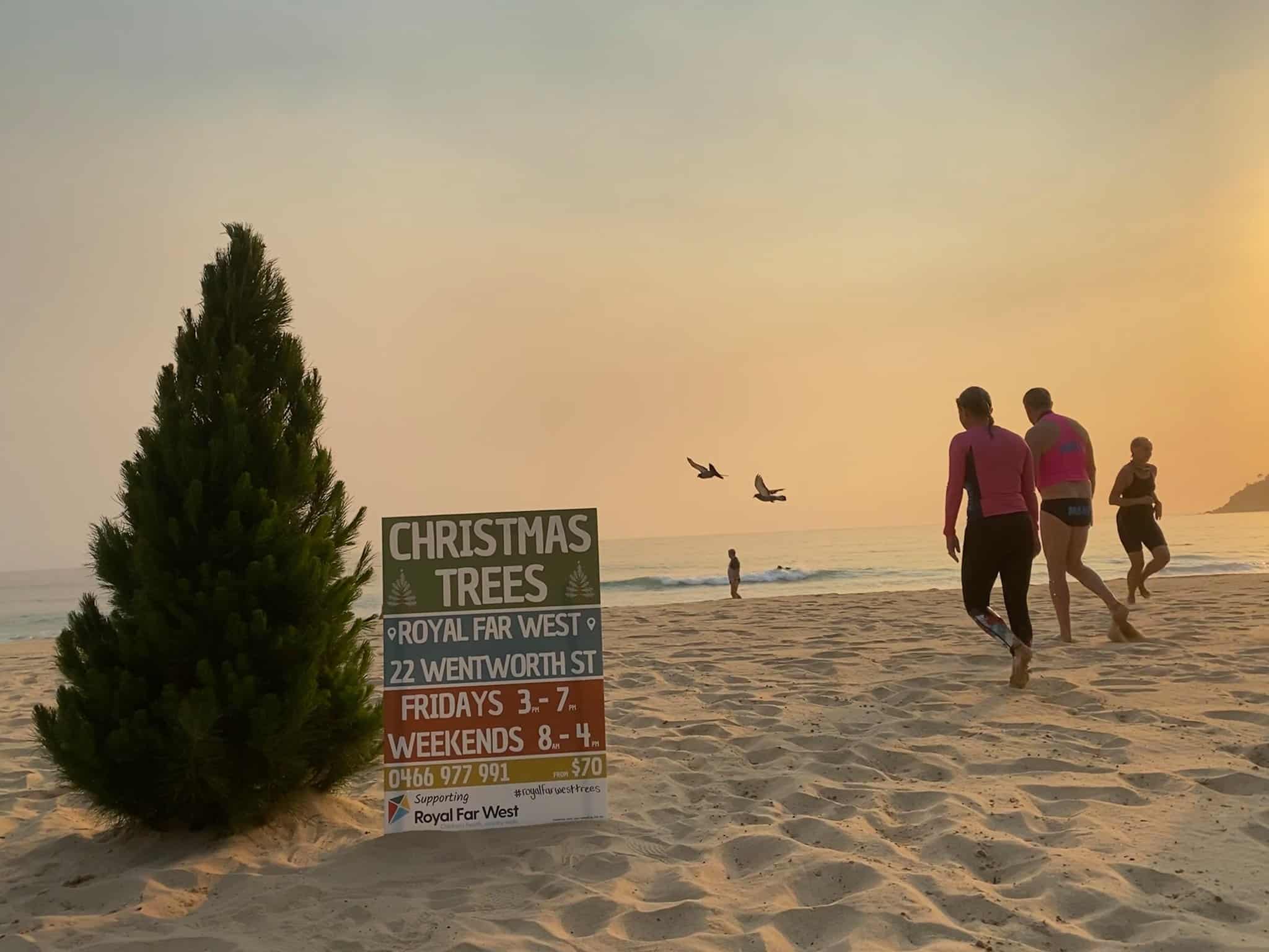 Aussie Christmas Trees