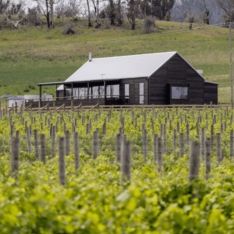 Bangor Vineyard Shed (Image Credit: Tasman Peninsula)