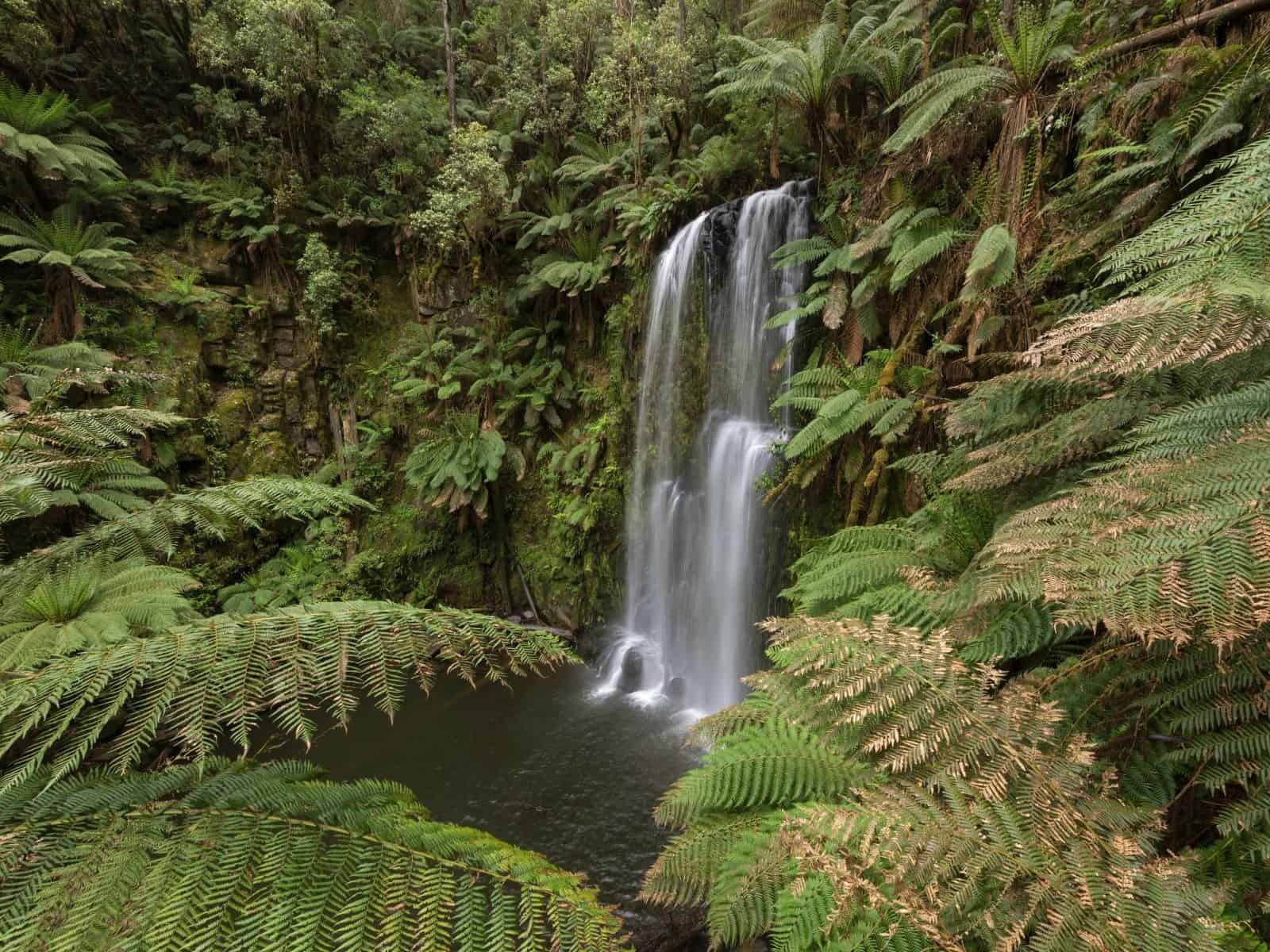 Beauchamp Falls 