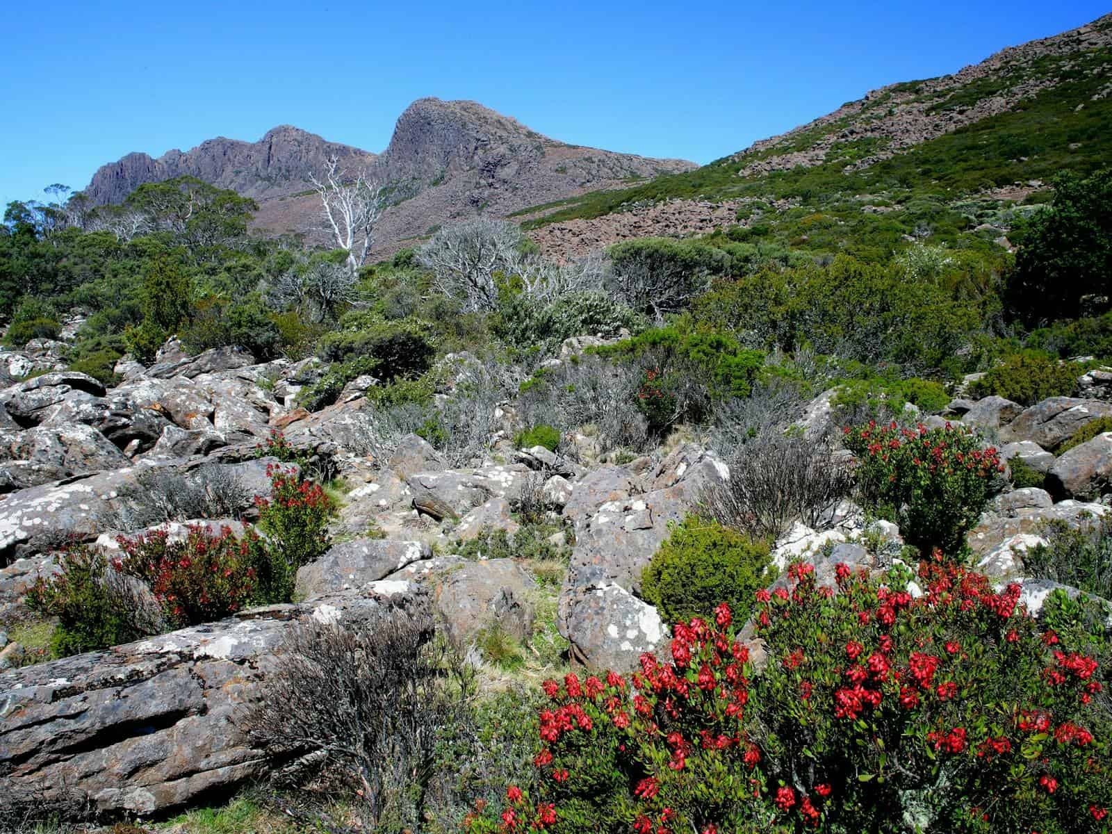 Ben Lomond National Park (Image Credit: Discover Tasmania)