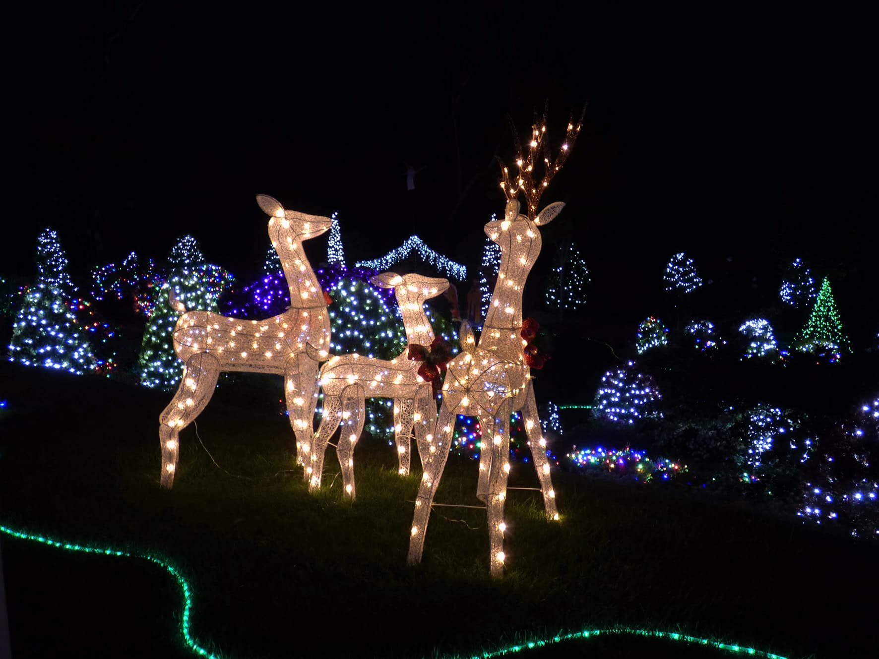 Bill & Peg's Christmas Lane