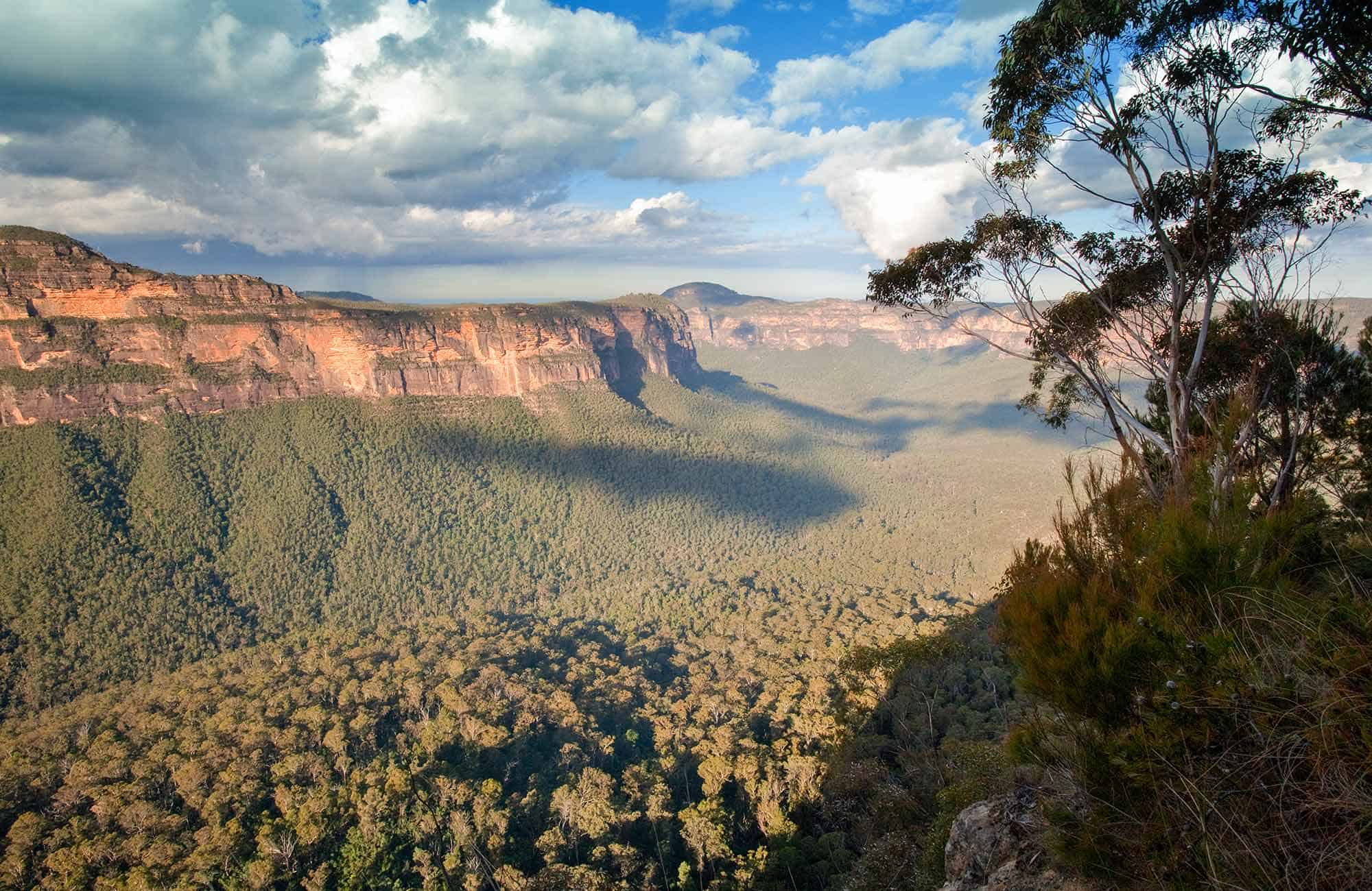 Grand Canyon Track 