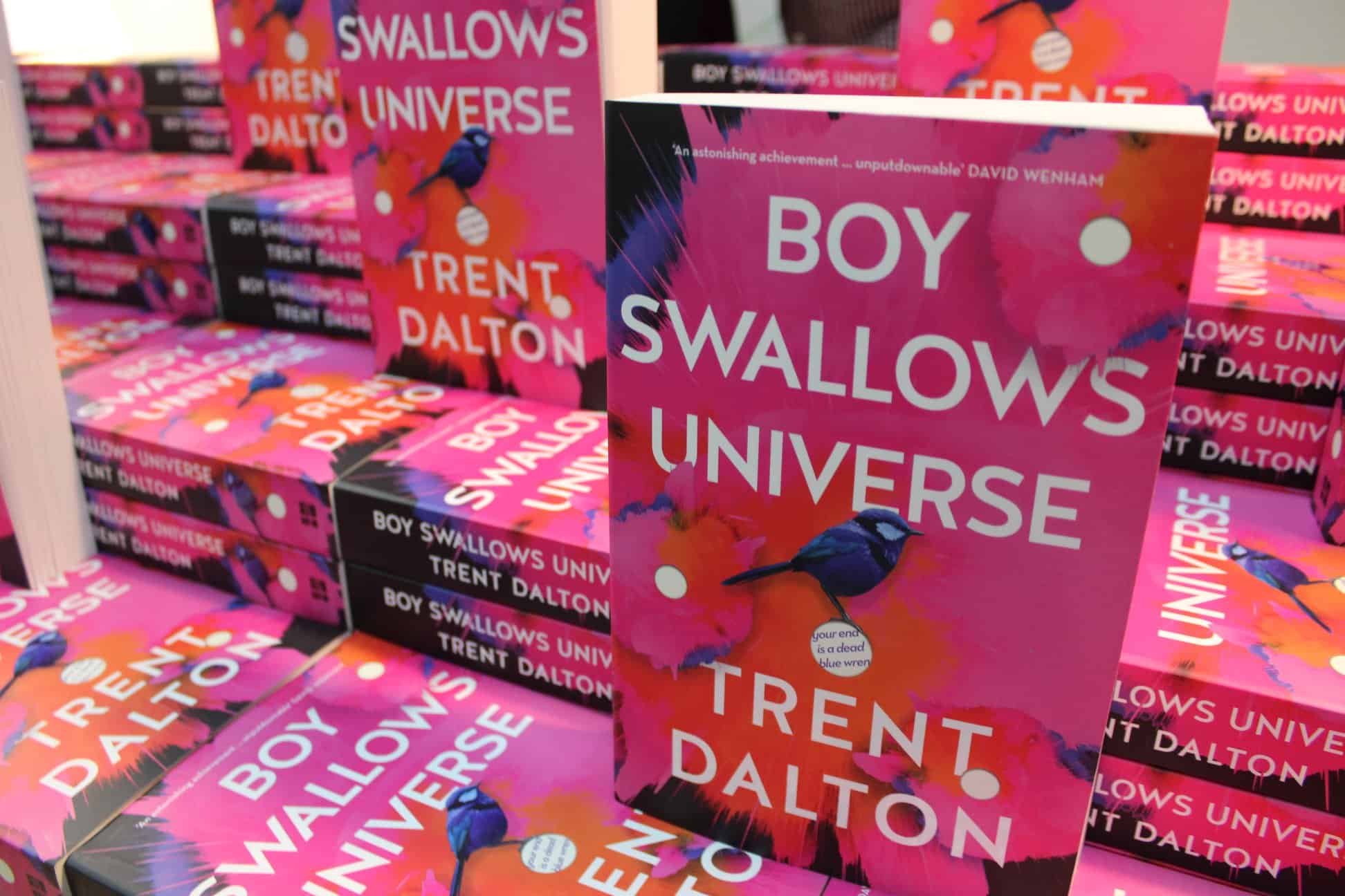 Boy Swallows Universe 