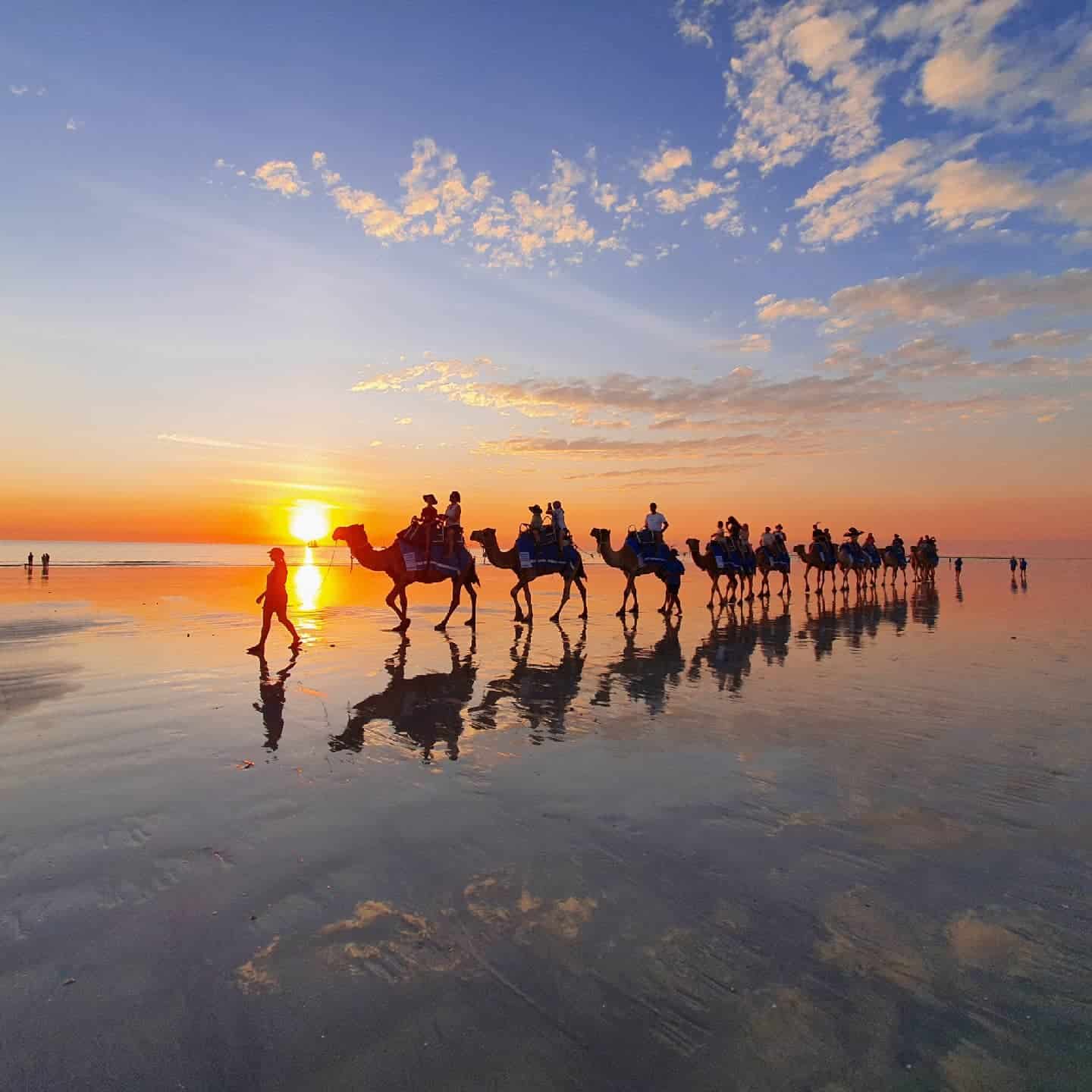 Camel Train, Cable Beach