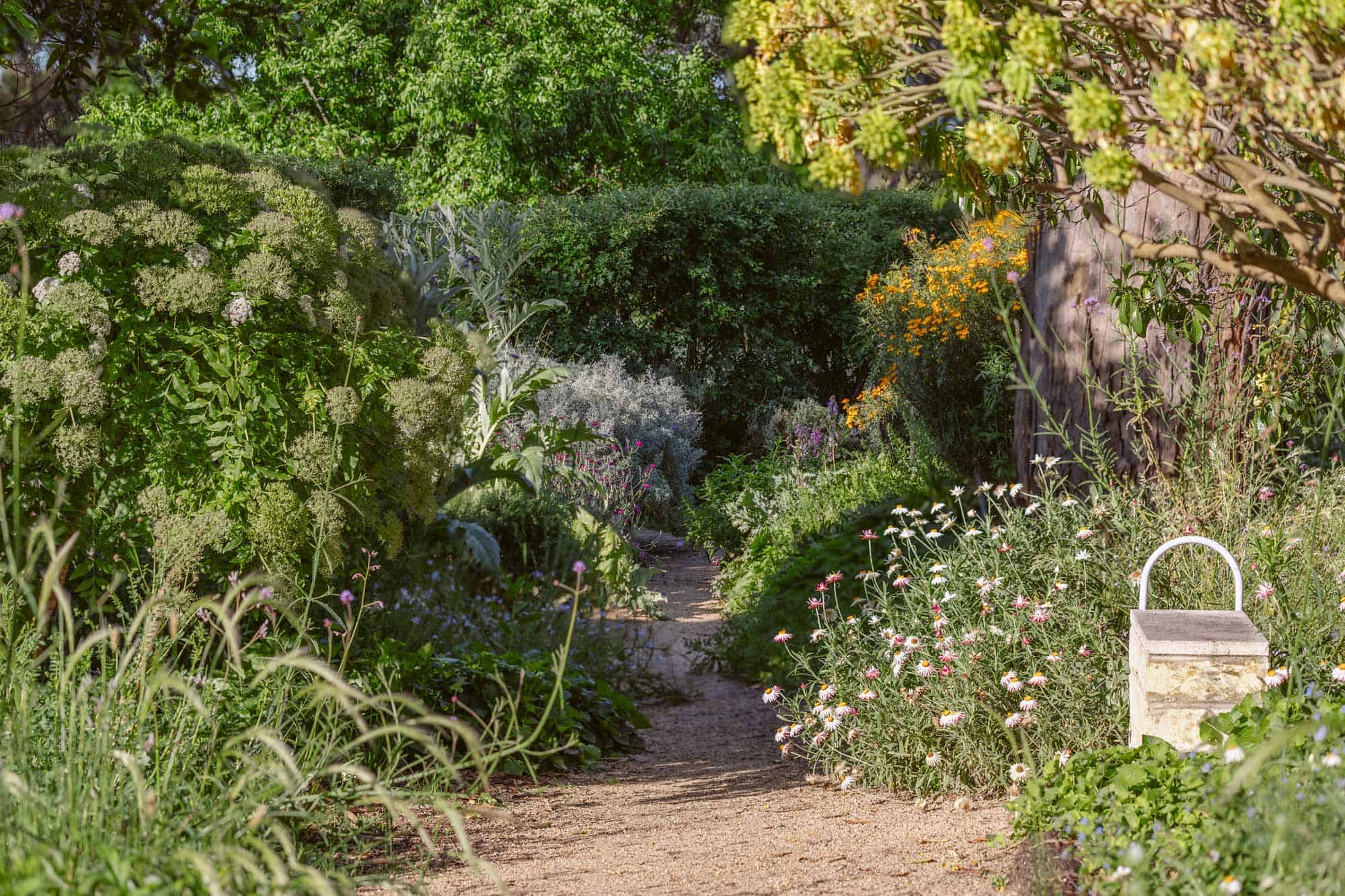 Heide Museum Healing Garden (Image Credit: C Meredith)