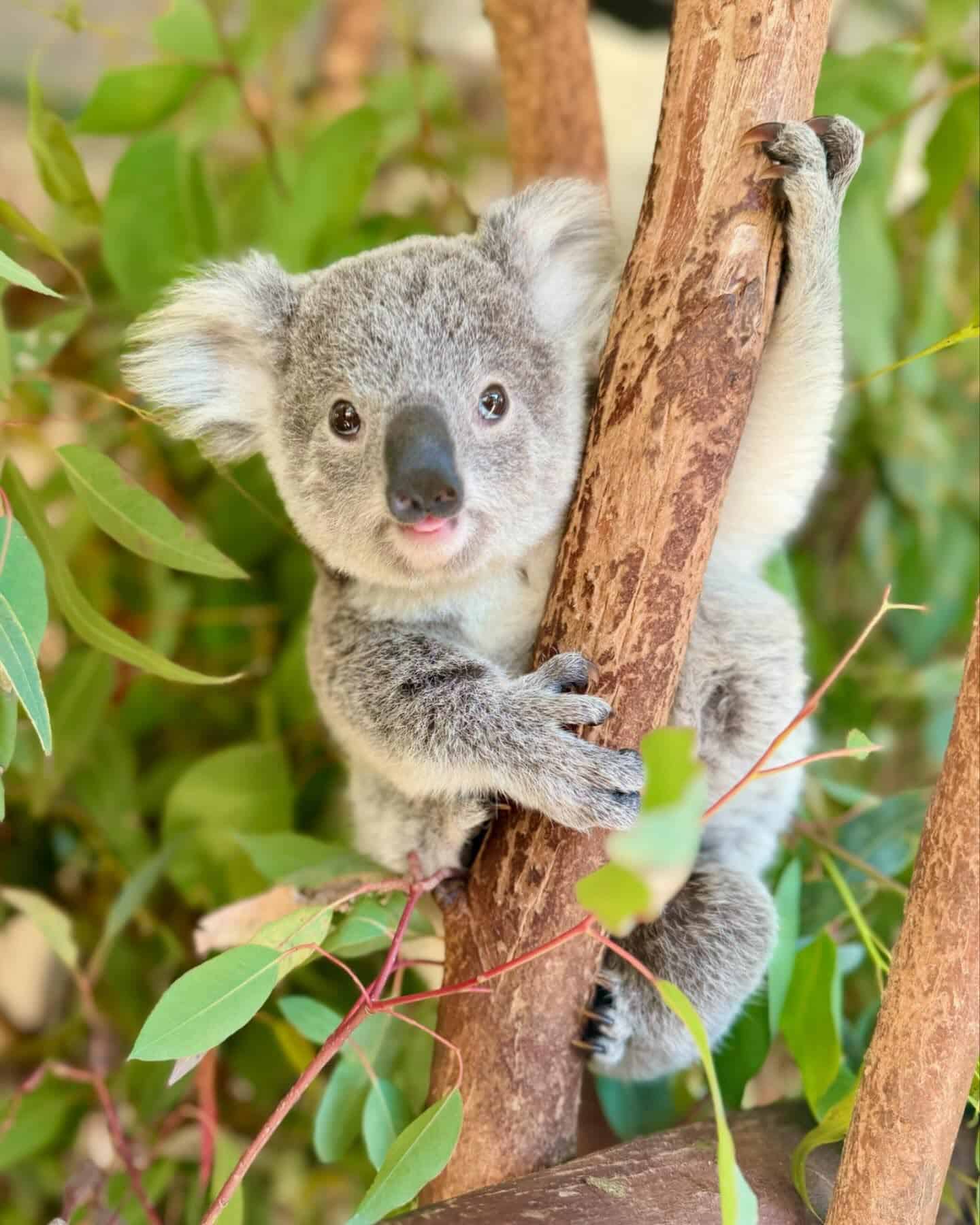 Caversham Wildlife Park