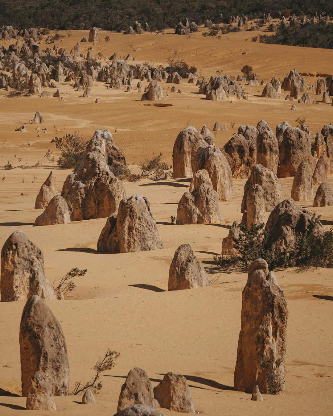 The Pinnacles (Image Credit: Australia's Coral Coast)