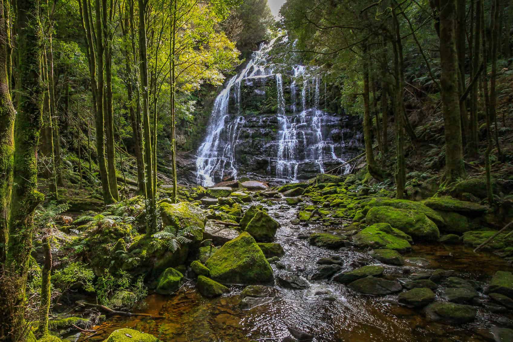 Nelson Falls (Image Credit: Craig Vertigan)