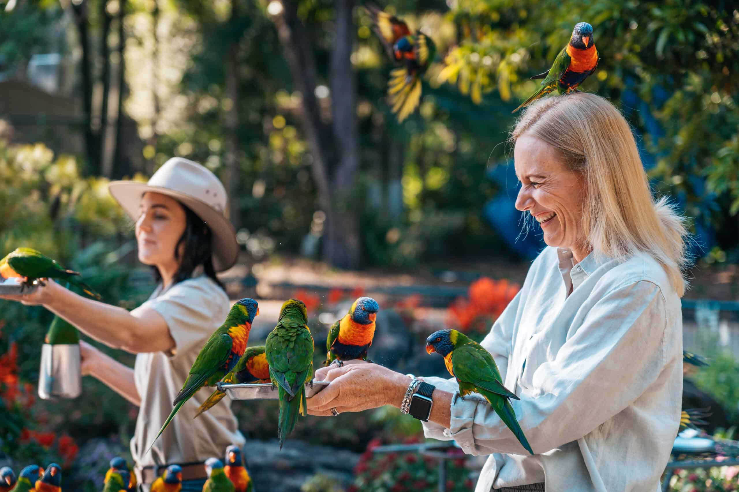 Currumbin Wildlife Sanctuary (Photo credit: Tourism & Events Queensland)