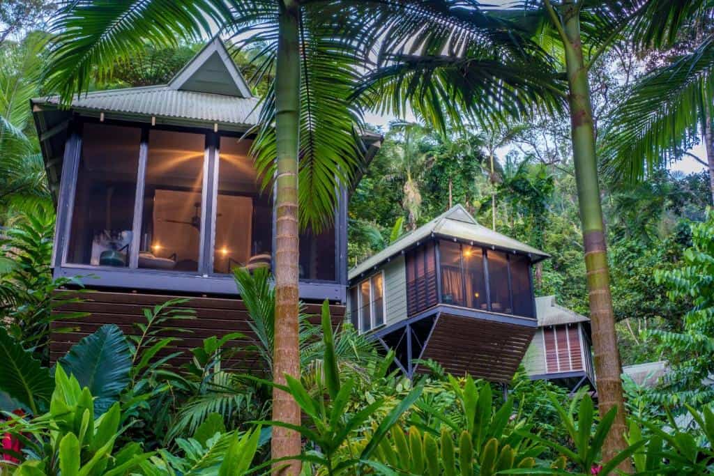 Daintree Ecolodge