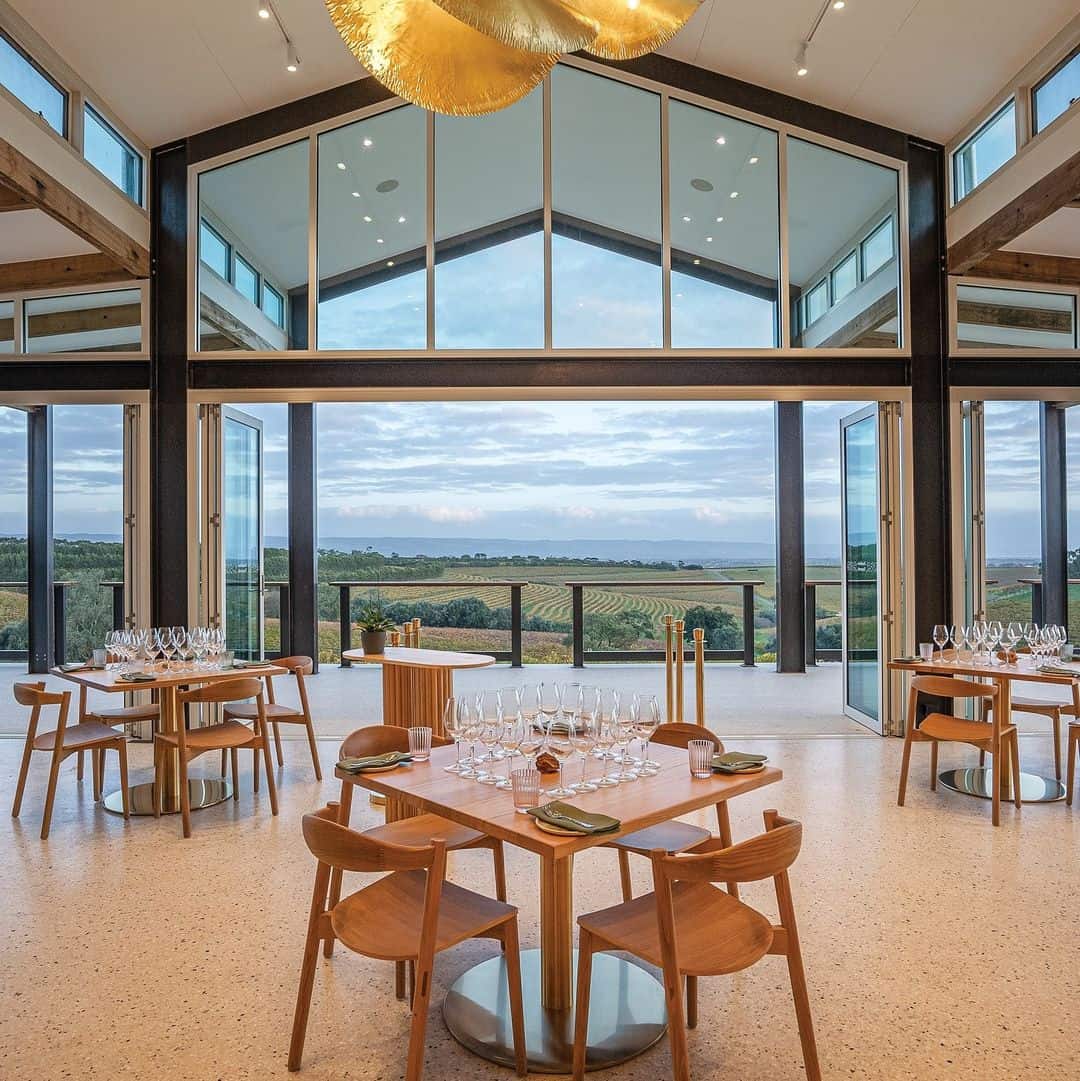 Dandelion Vineyards