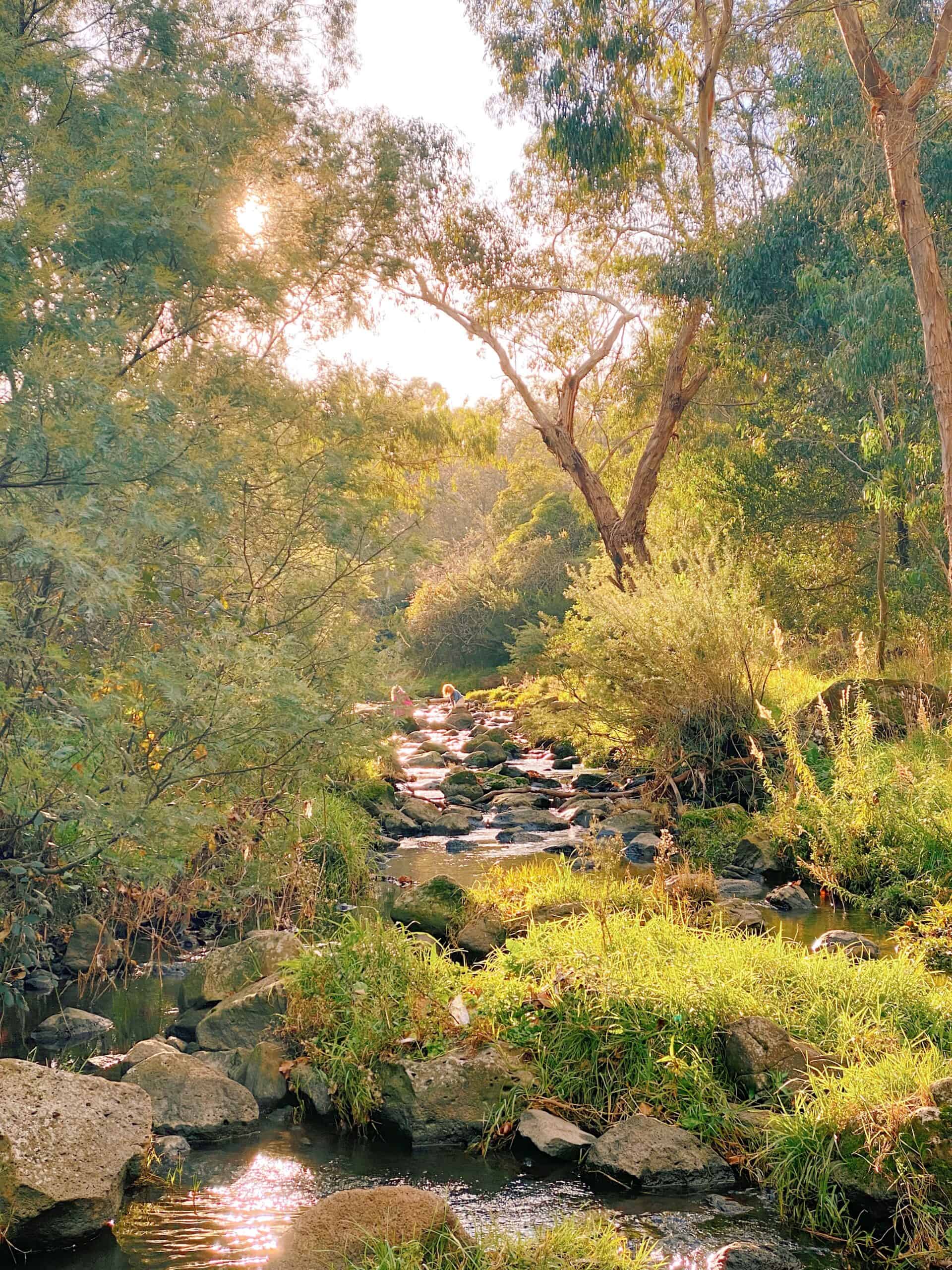 Darebin Parklands (Image Credit: Kelsey Harrington)