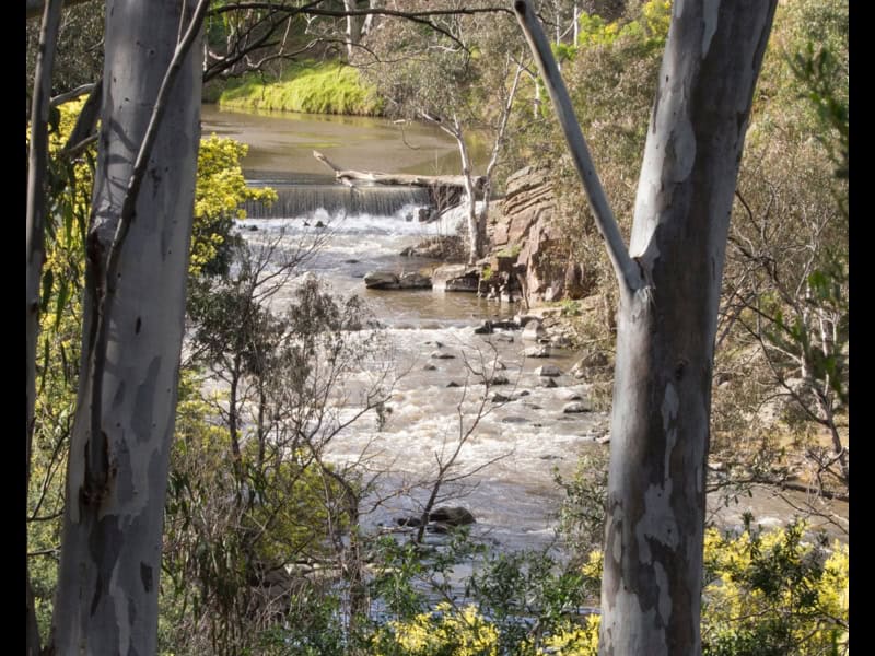 Dights Falls at Yarra Bend Park Loop