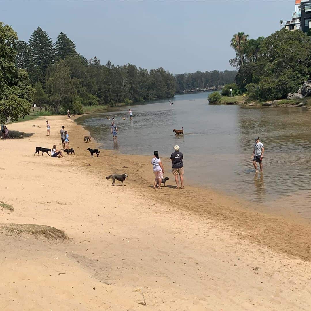 Many Lagoon (Image Credit: @manlydogs)