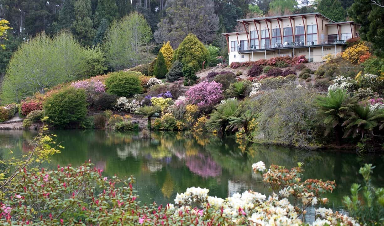 Emu Valley Rhododendron Garden