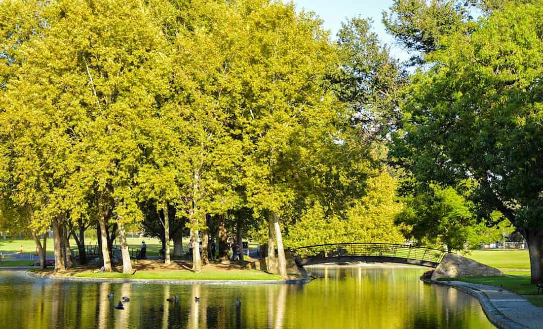 Rymill Park (Image Credit: South Australia Tourism Commission)