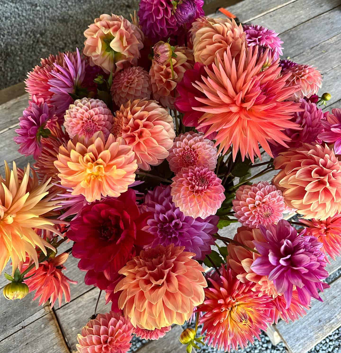 Farm Gate Flowers 