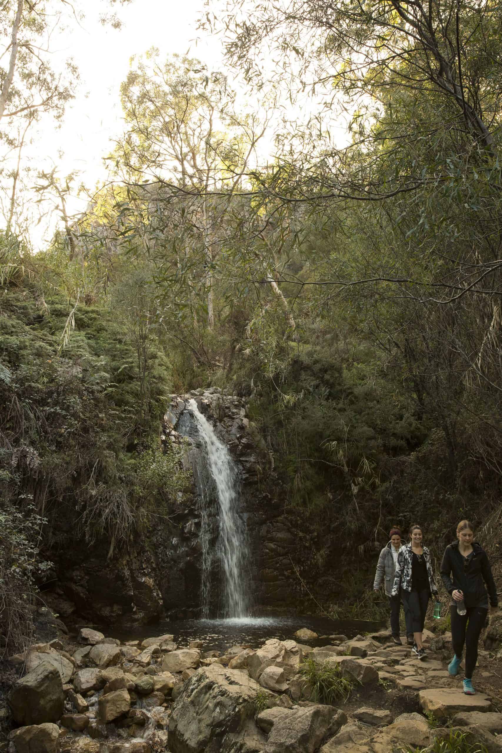 Waterfall Gully