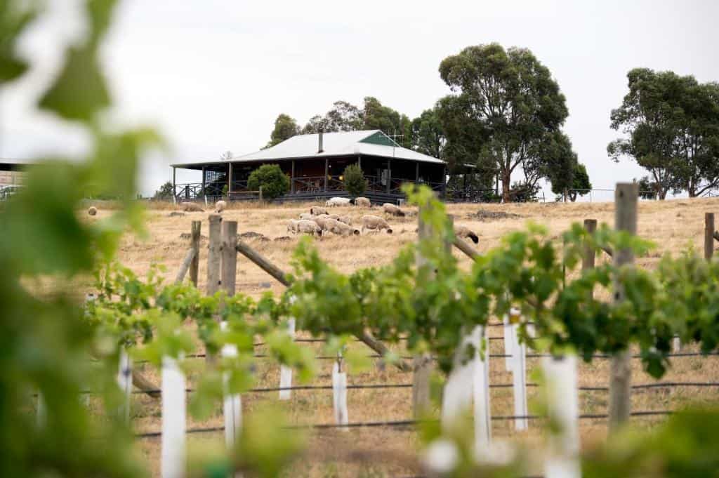 GilGraves Vineyard Farmstay