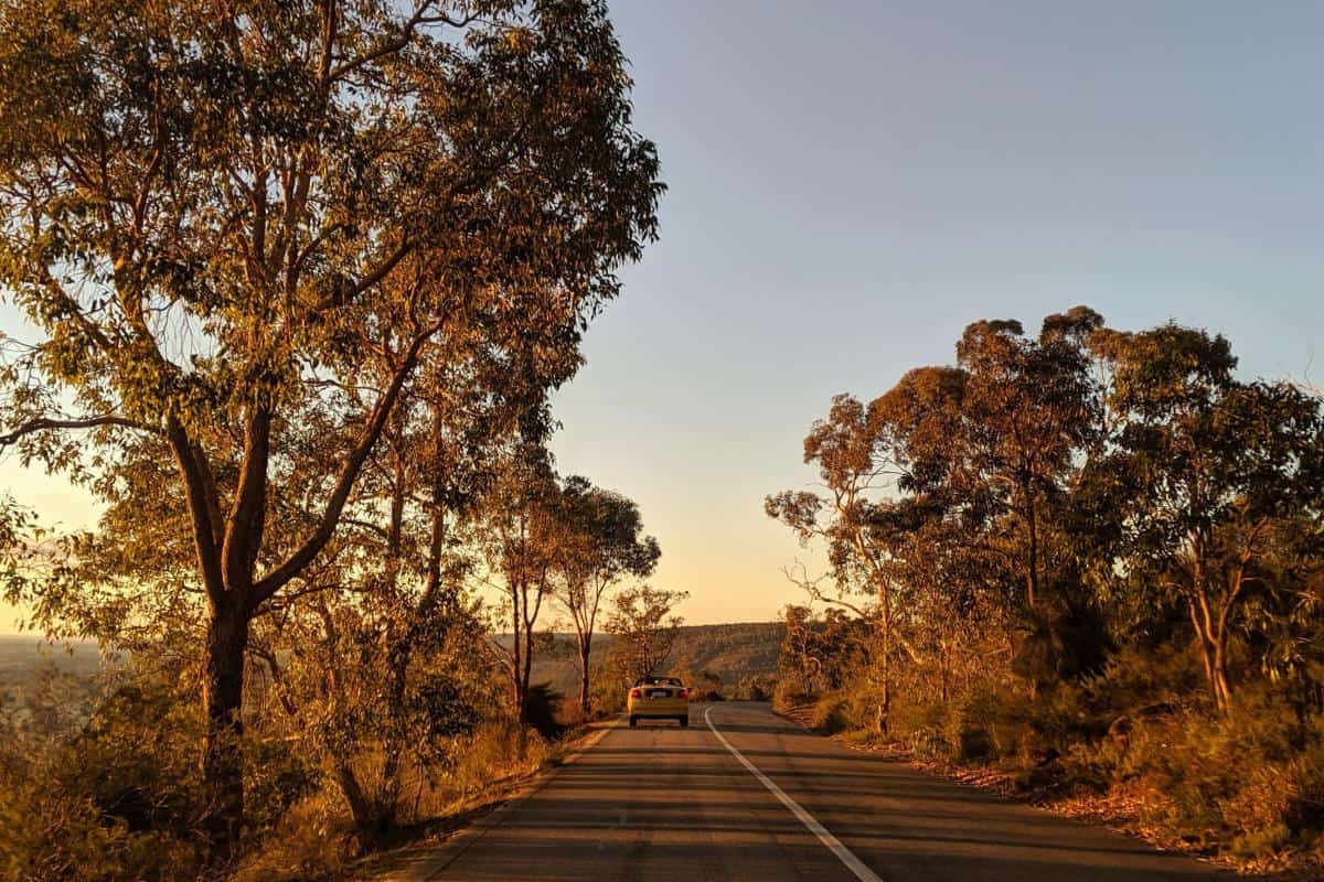 Zig Zag Drive, Gooseberry Hill National Park (Image Credit: Bronwyn Wells)