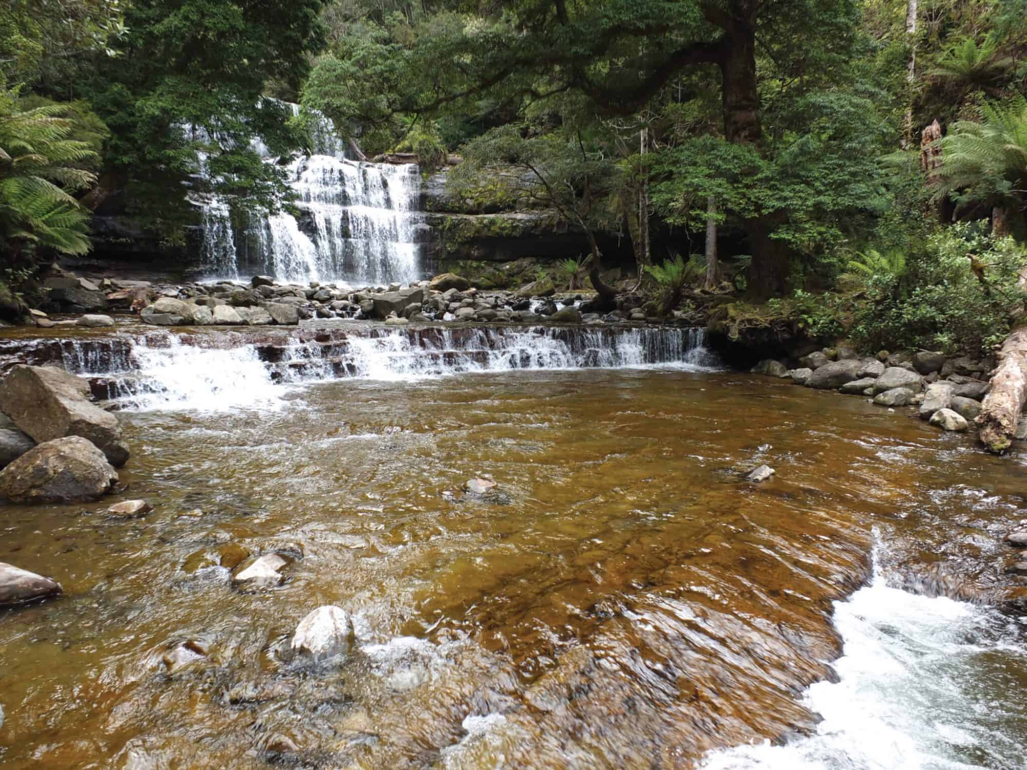 Liffey Falls (Image Credit: Tasmania)