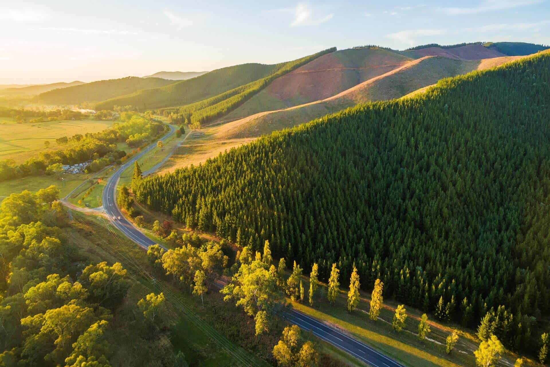 Great Alpine Road 