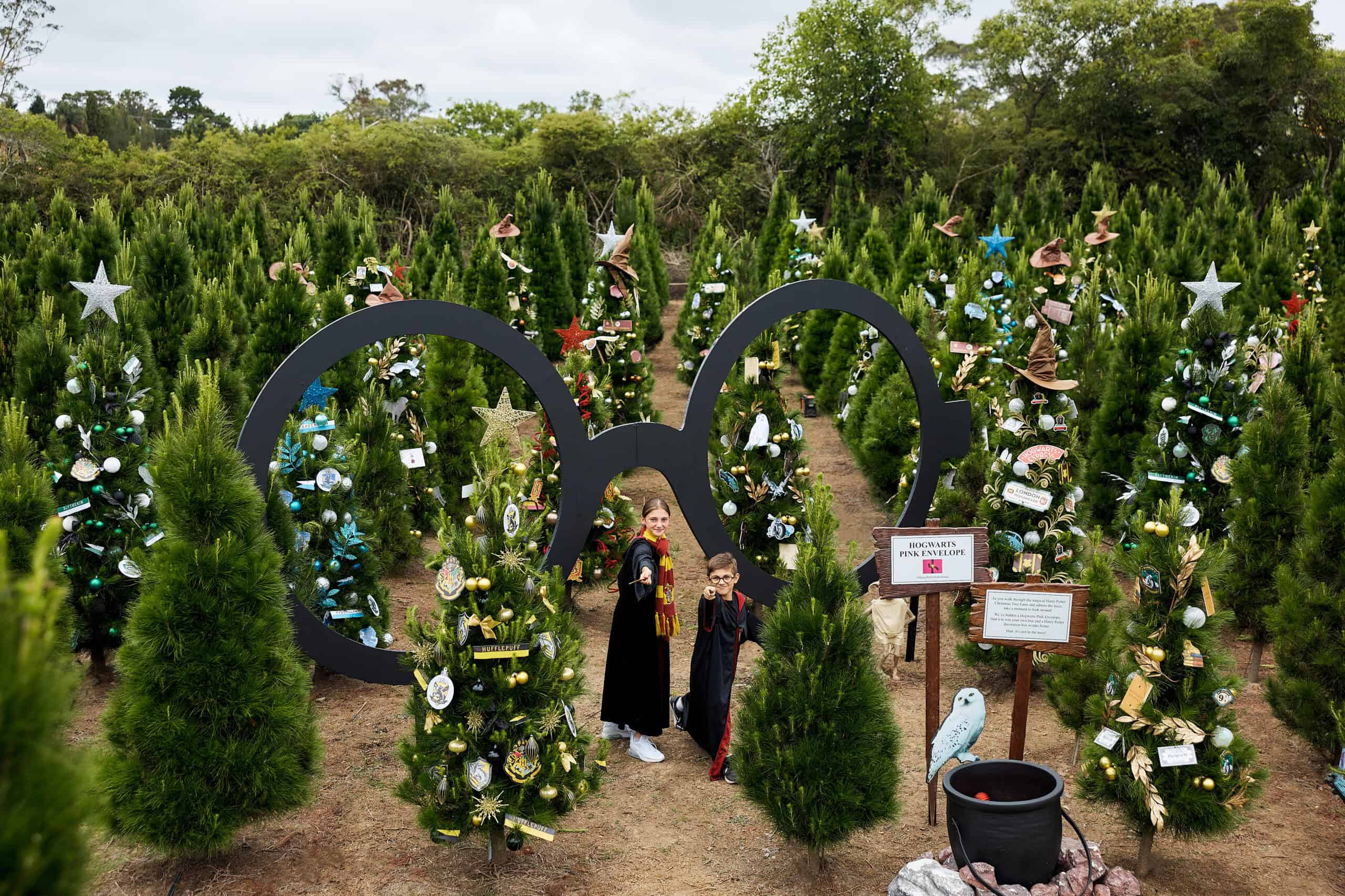 Harry Potter-themed display pops up at Dural's Christmas Tree Farm.