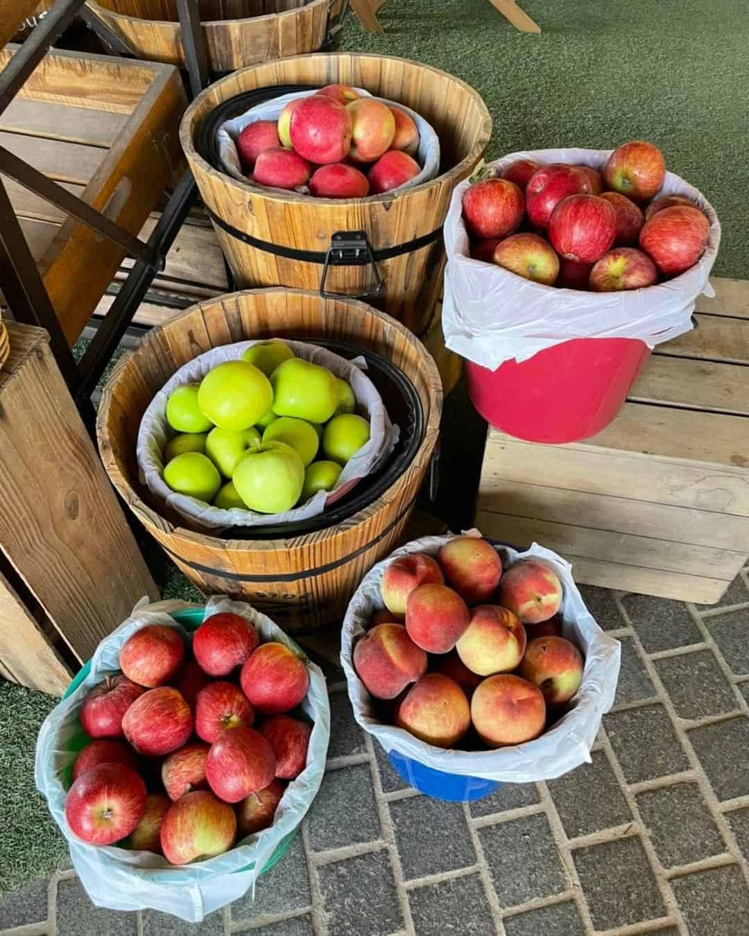 Hillside Harvest