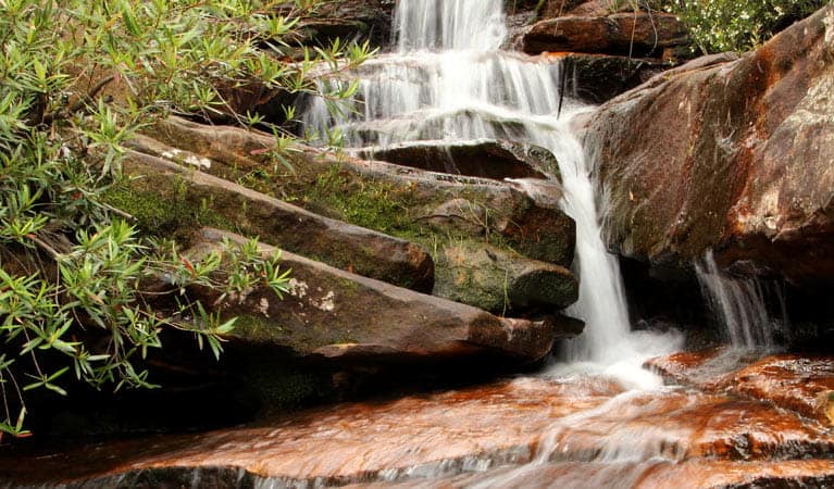 Hominy Creek Walking Track (Image Credit: John Yurasek) 