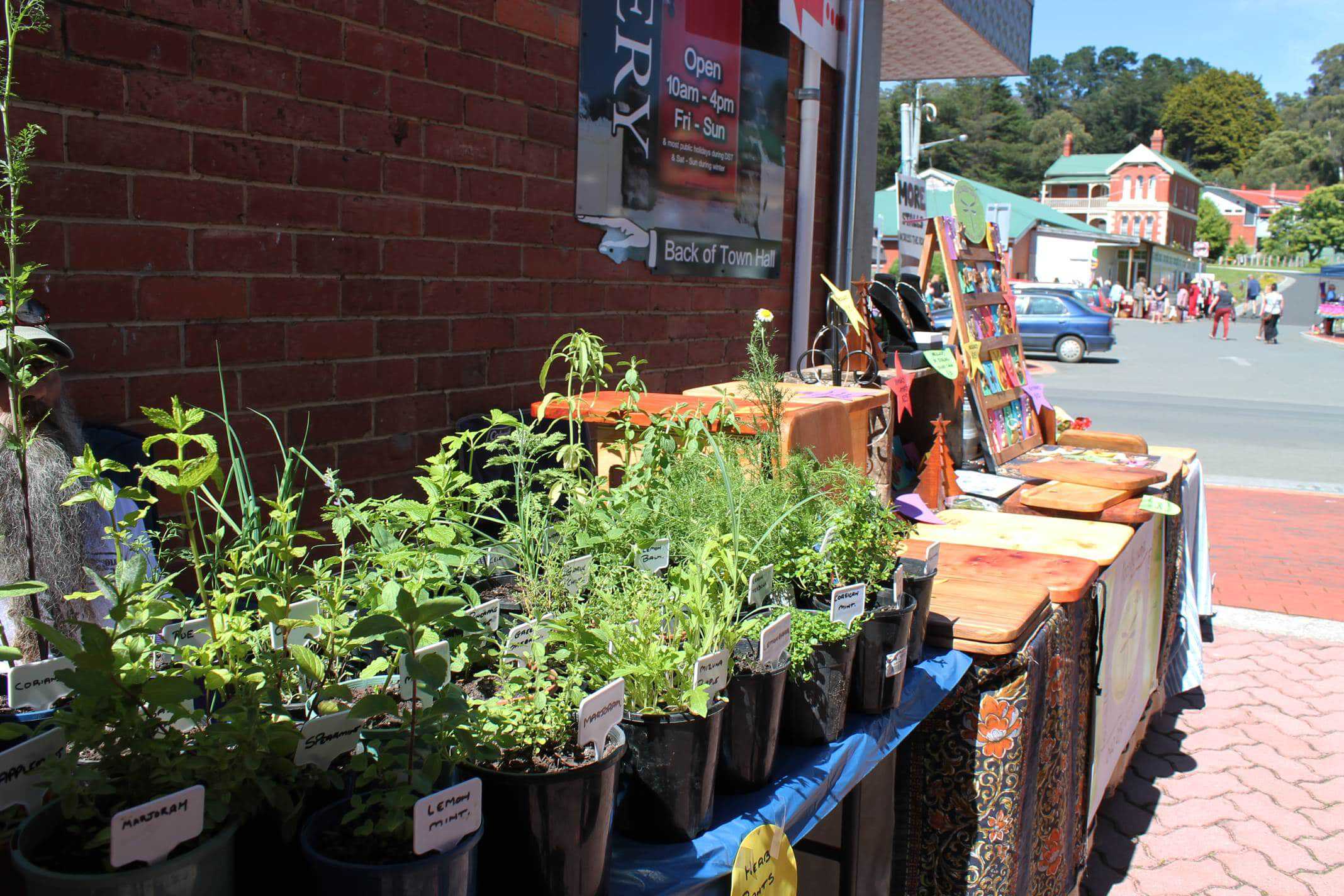 Cygnet Market