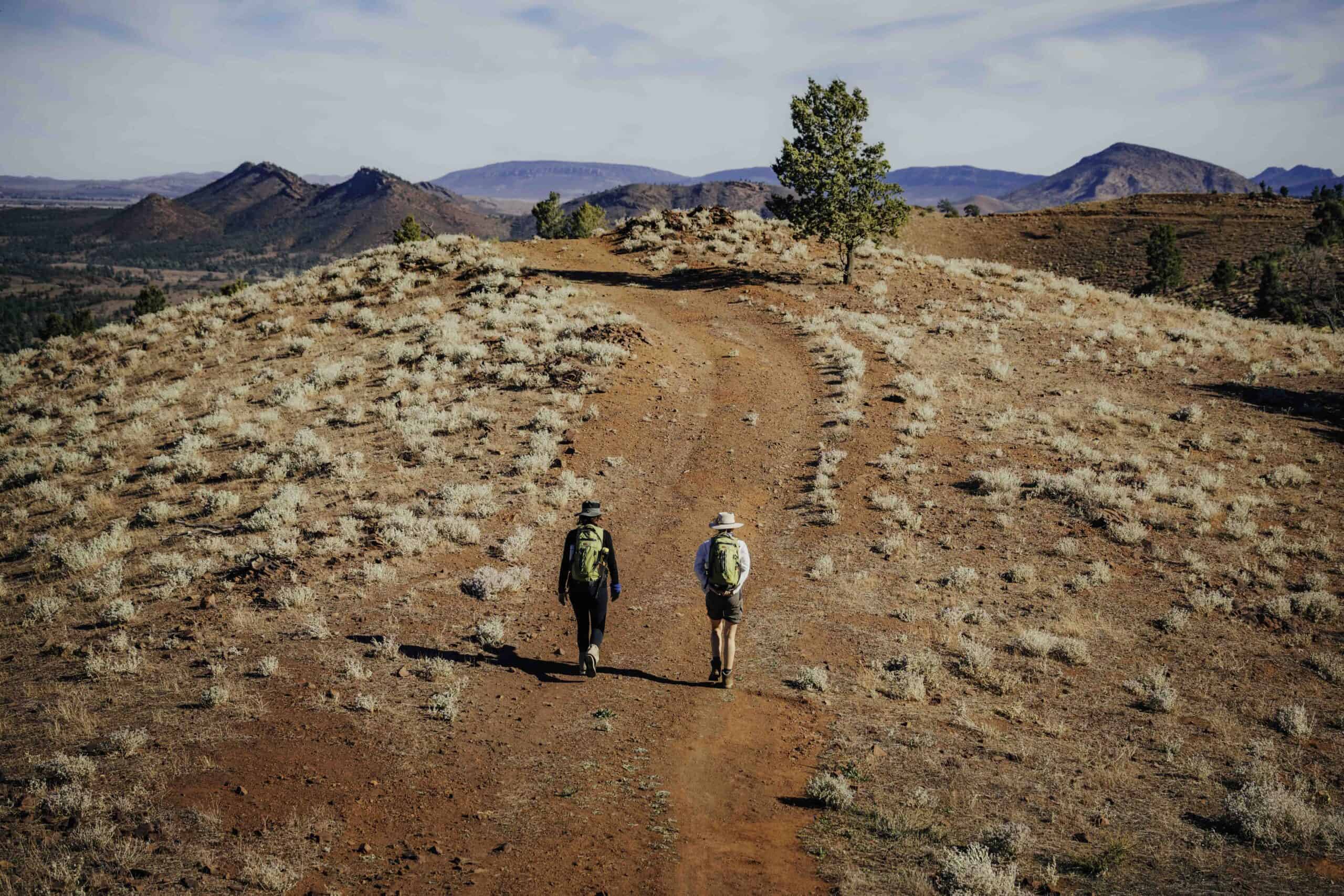 Arkaba Walk (Image credit: Luke Tscharke)