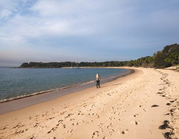 Jibbon Beach Loop Track 