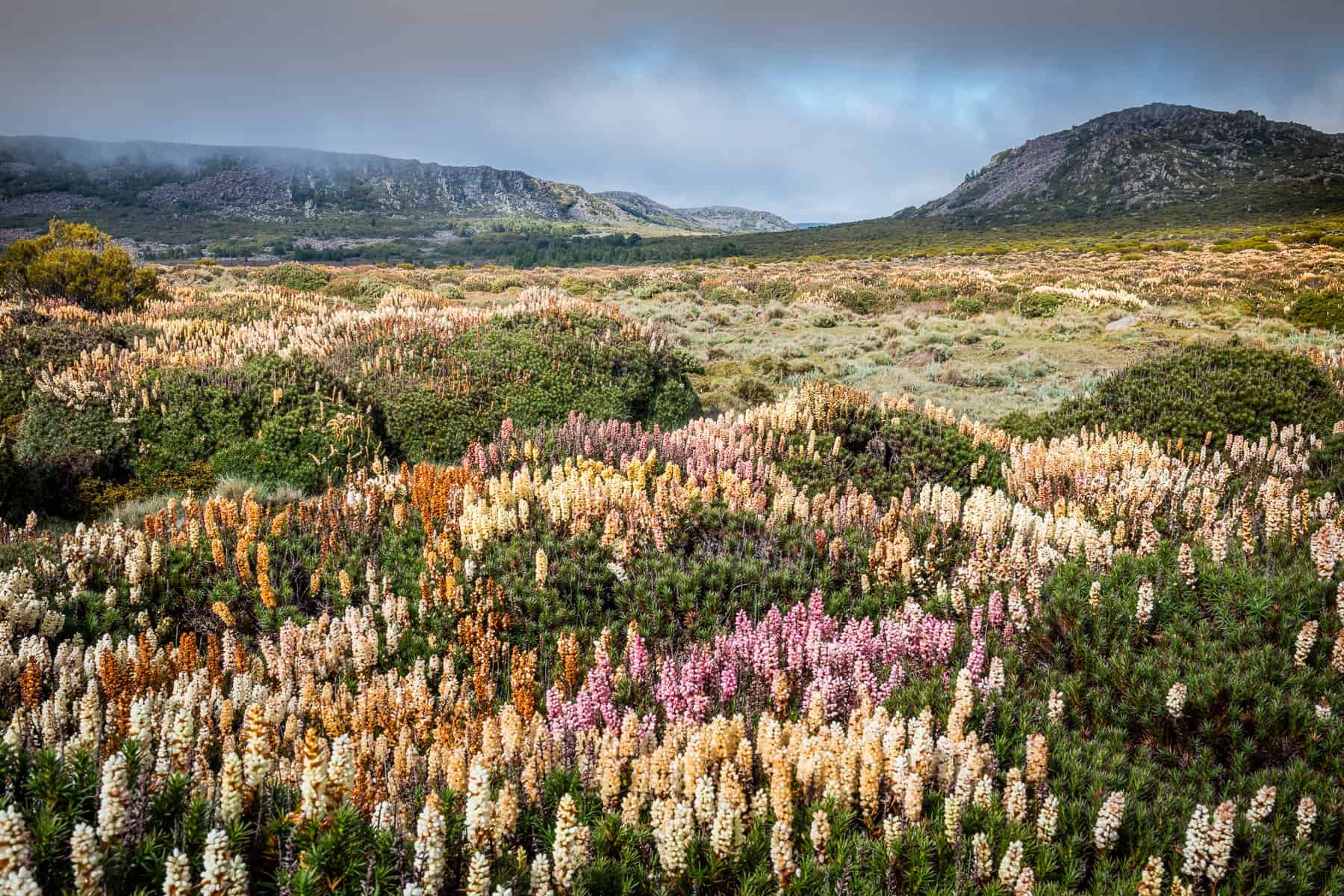 Central Plateau National Park (Image Credit: Joy Kachina Photography)