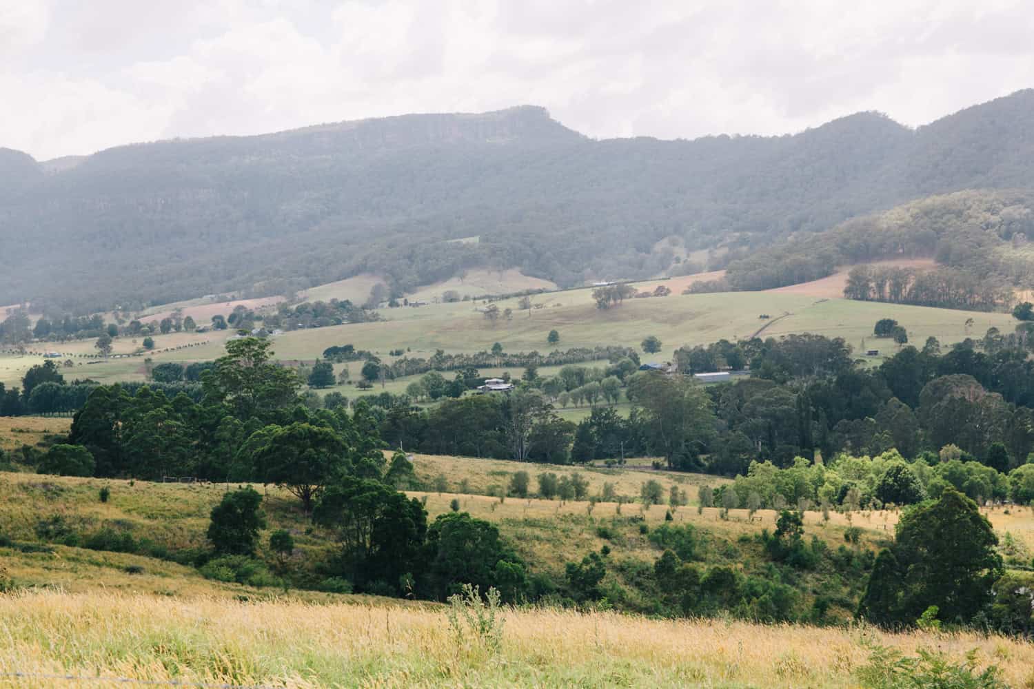 Kangaroo Valley 