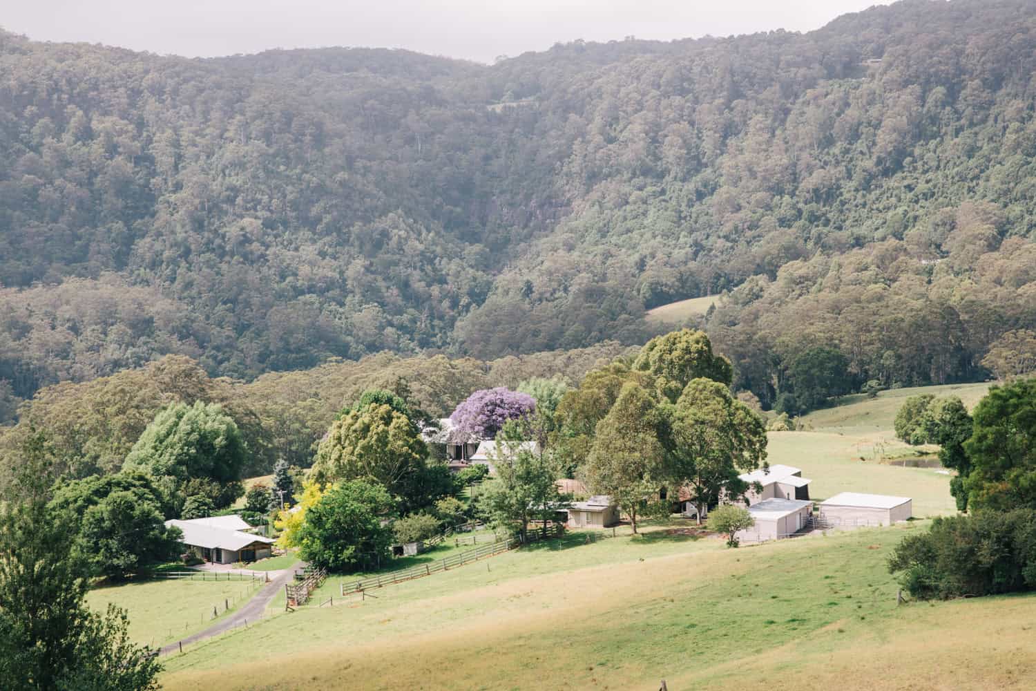 Kangaroo Valley 